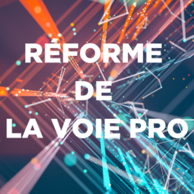 REFORME-DE-LA-VOE-PRO-1-300x300.png